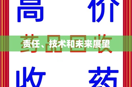 德州责任、技术和未来展望