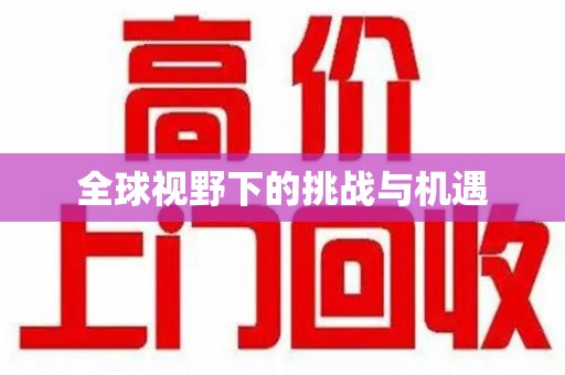德州全球视野下的挑战与机遇